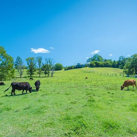 Jacaranda Creek Farmstay & B&B Sunshine Coast 外观 照片