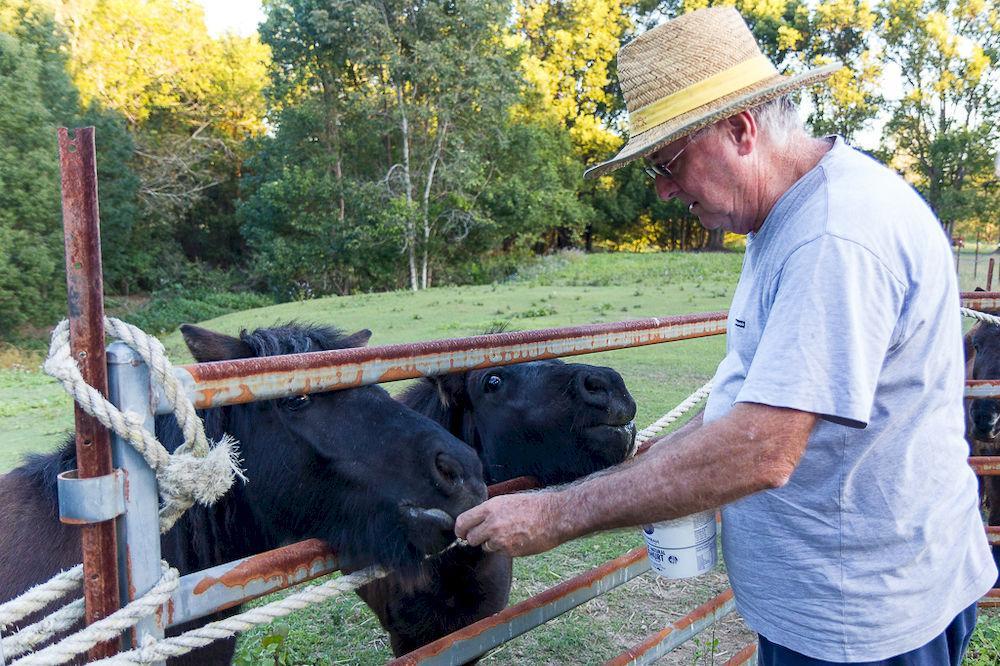 Jacaranda Creek Farmstay & B&B Sunshine Coast 外观 照片